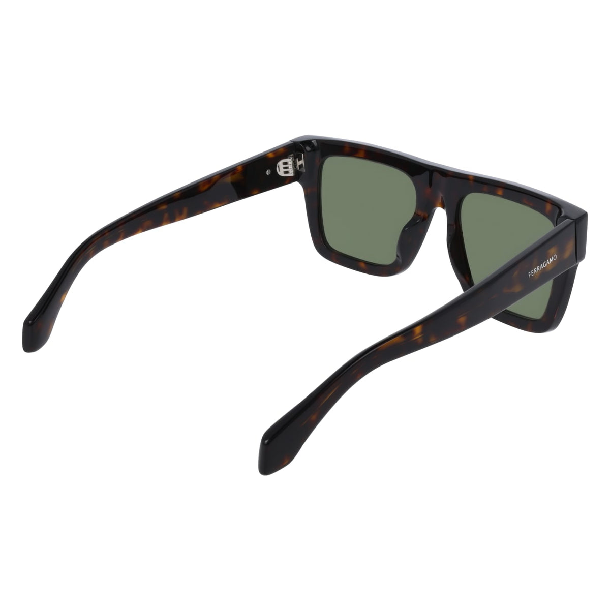 Gafas de Sol Ferragamo SF2063SE 242 53 19