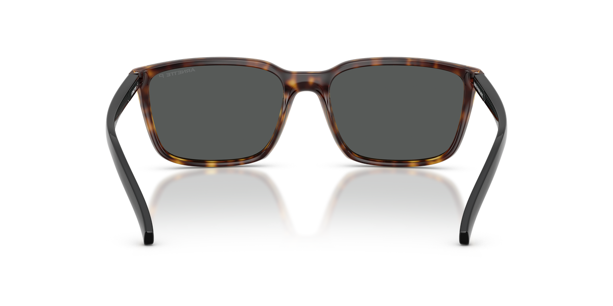 Gafas de Sol Arnette An4311 AN4311 295681 56 18