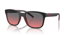 Gafas de Sol Arnette Surry H AN4320 286977 55 19