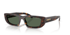 Gafas de Sol Arnette Al AN4357 122271 53 17