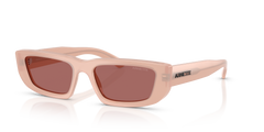 Gafas de Sol Arnette Al AN4357 124769 53 17
