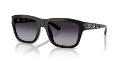 Sunglasses Diesel DL3006U 20018G 55 20