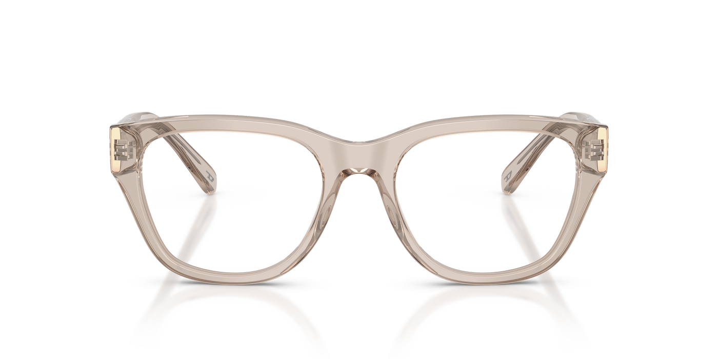 Gafas Graduadas Diesel DL4001 2007 51 19