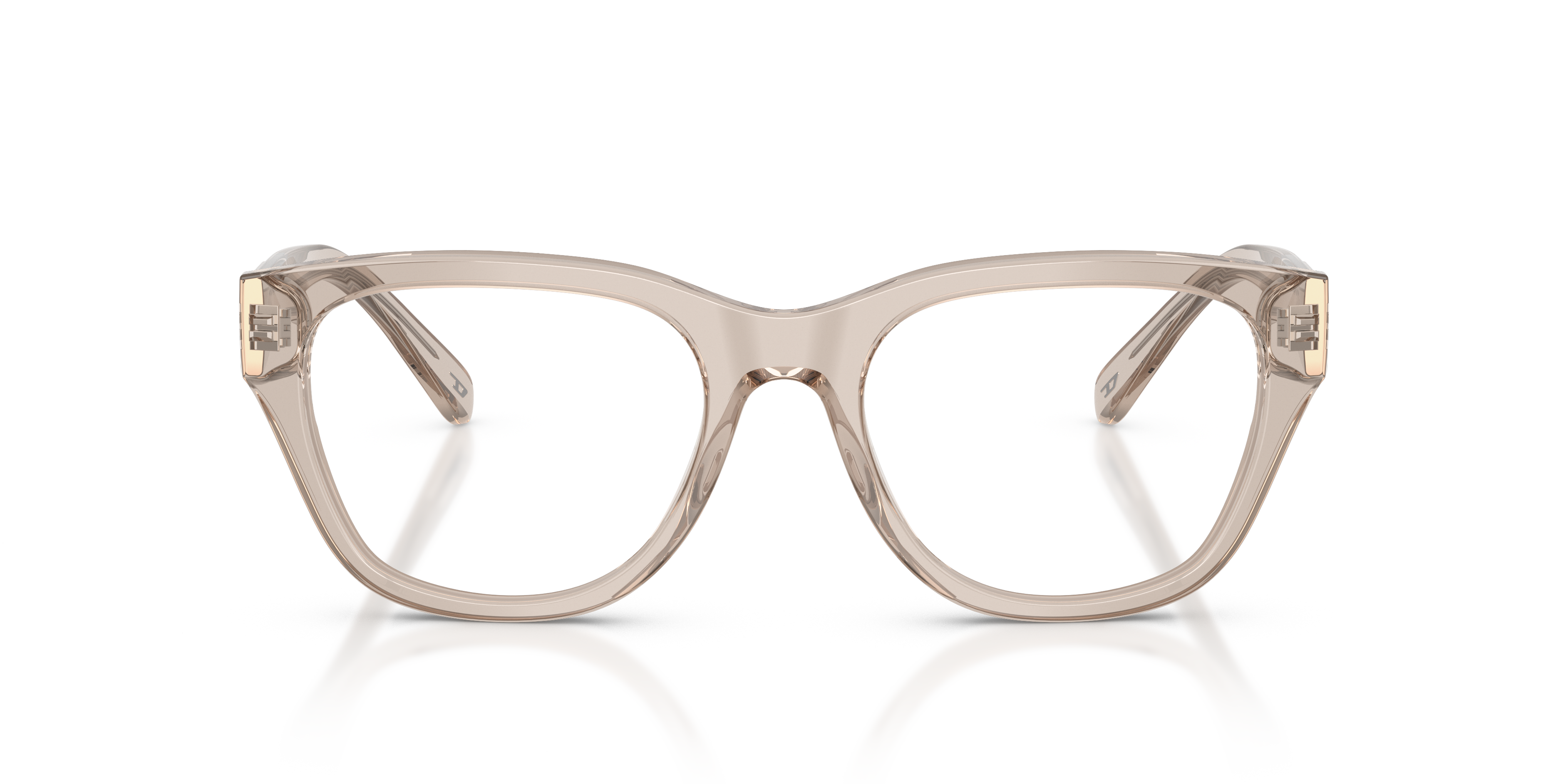 Gafas Graduadas Diesel DL4001 2007 51 19