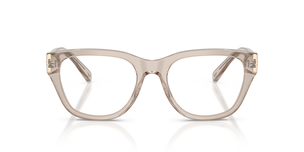 Gafas Graduadas Diesel DL4001 2007 53 19