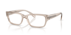Gafas Graduadas Diesel DL4002 2007 54 17