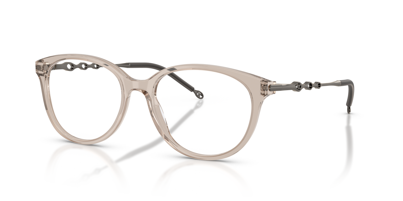 Gafas Graduadas Diesel DL4007 2007 54 17