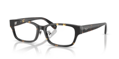 Gafas Graduadas Diesel DL4010D 2017 55 17
