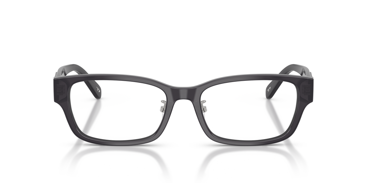 Gafas Graduadas Diesel DL4010D 2027 55 17