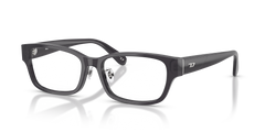 Gafas Graduadas Diesel DL4010D 2027 55 17