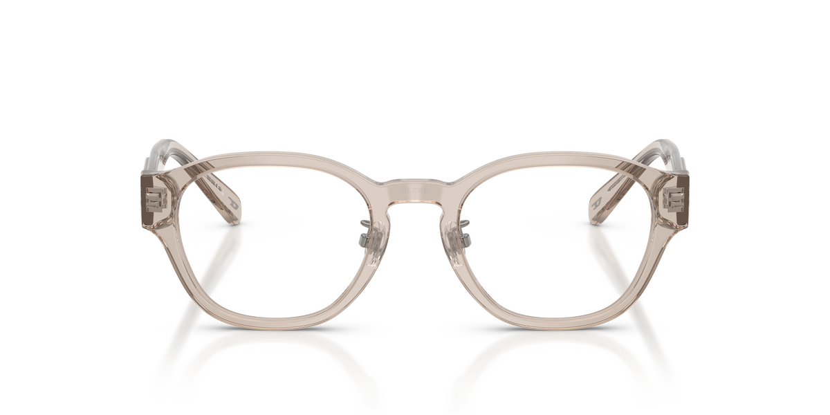 Gafas Graduadas Diesel DL4011D 2007 49 20