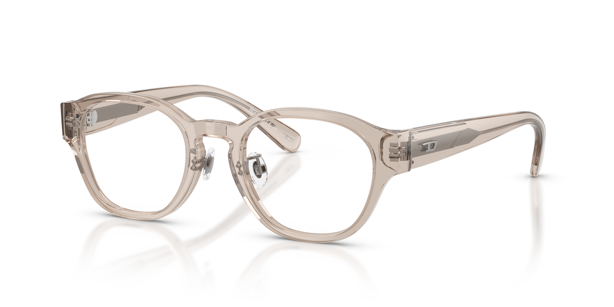 Gafas Graduadas Diesel DL4011D 2007 49 20
