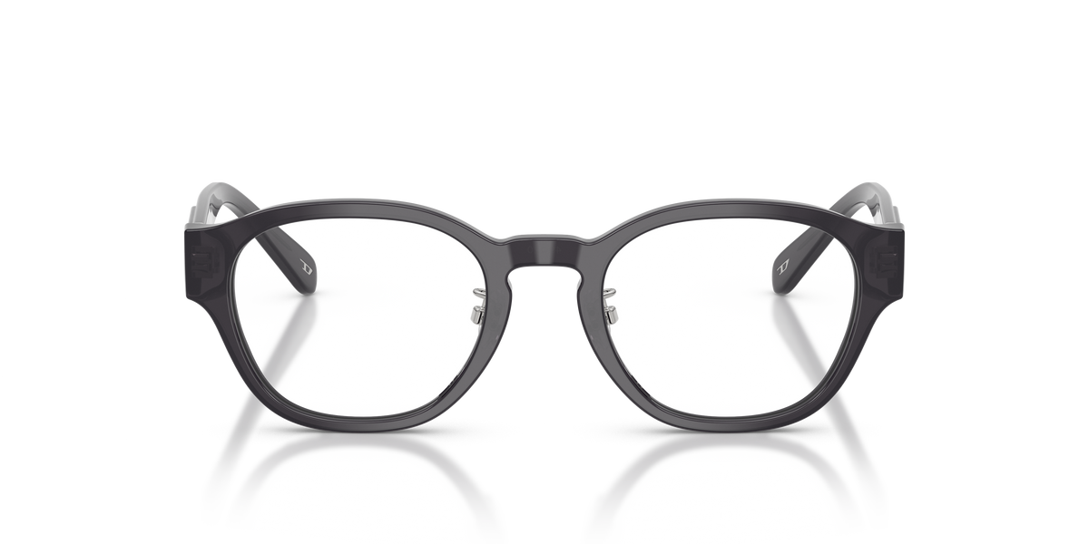 Gafas Graduadas Diesel DL4011D 2027 49 20