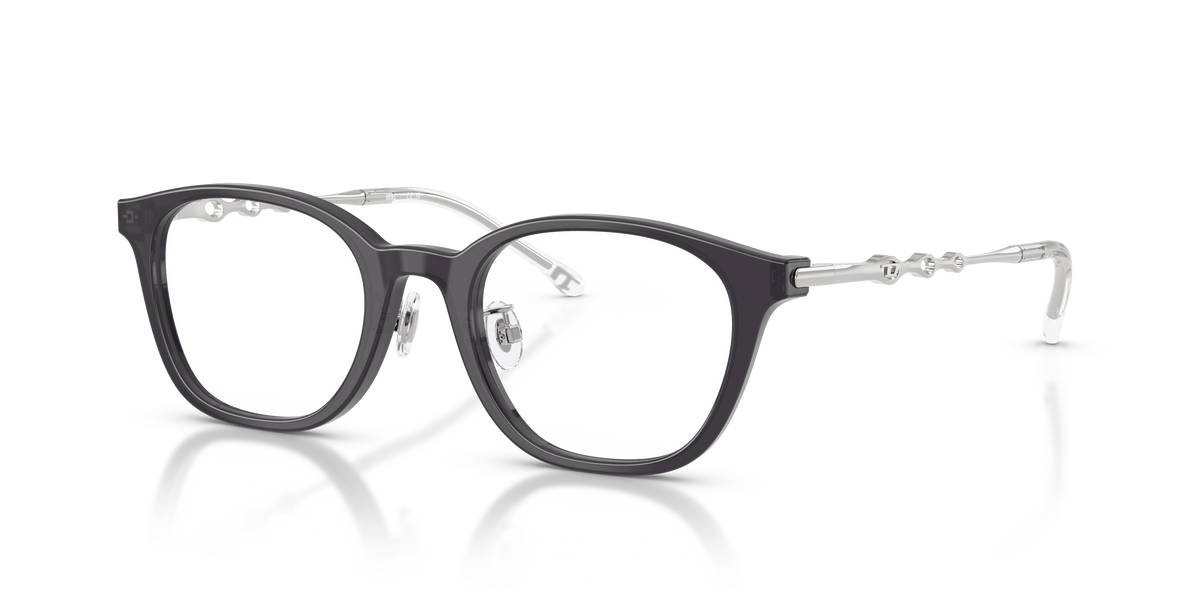 Gafas Graduadas Diesel DL4013D 2027 49 20