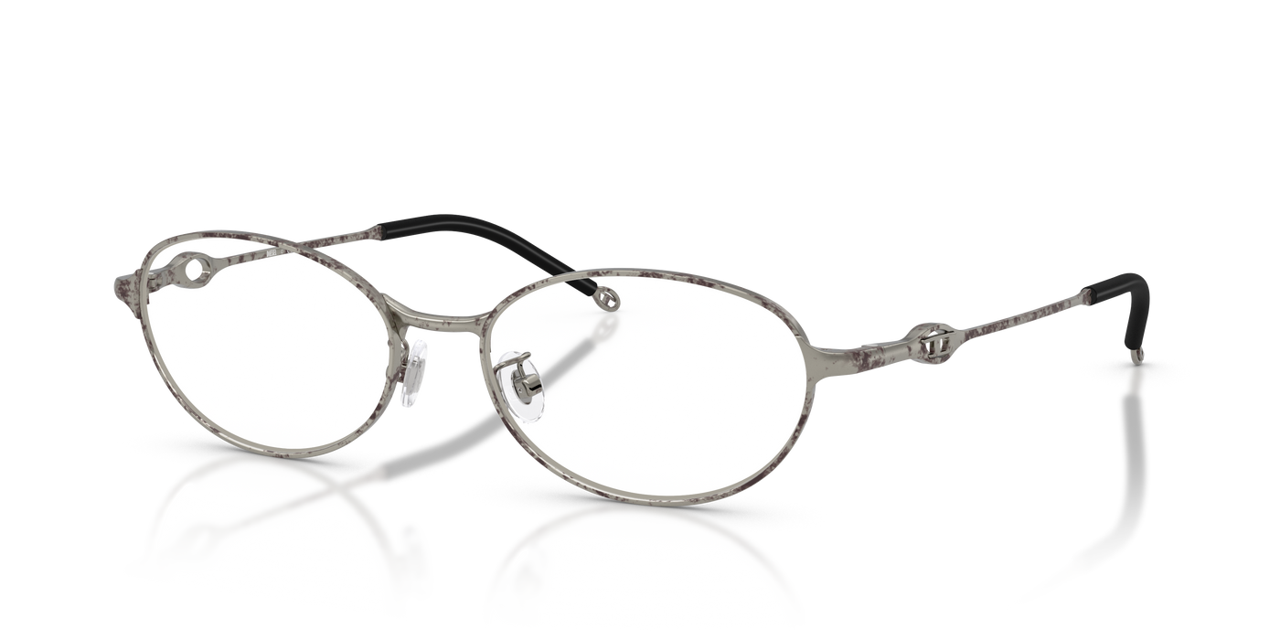 Gafas Graduadas Diesel DL5004D 1028 55 17