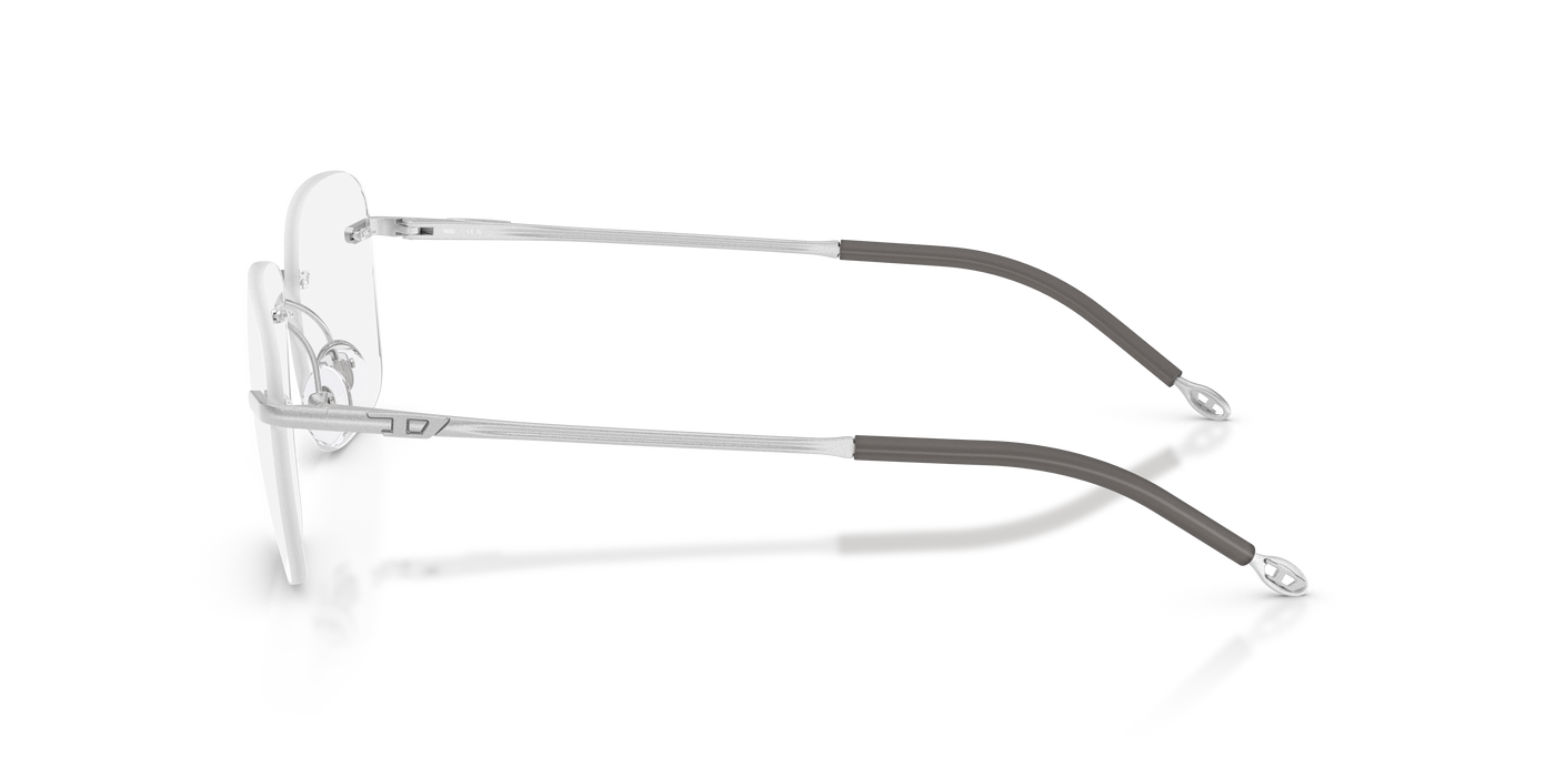 Gafas Graduadas Diesel DL5005 1016 55 17