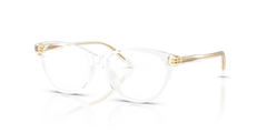 Prescription Glasses Dolce Gabbana DX3002 3133 48 / 50 15