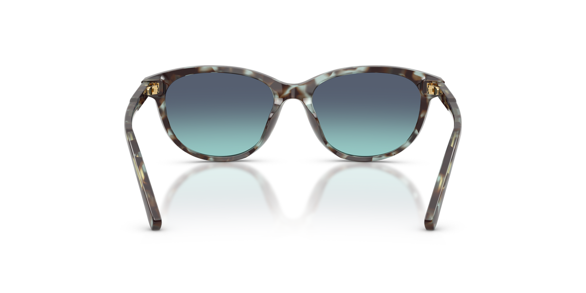 Sunglasses Dolce Gabbana DX4010 34434S 48 15