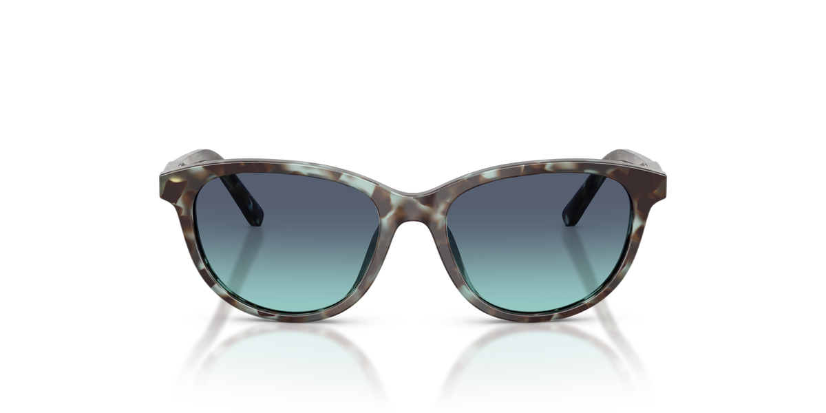 Sunglasses Dolce Gabbana DX4010 34434S 48 15