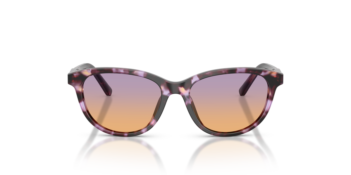Sunglasses Dolce Gabbana DX4010 3477EL 48 15