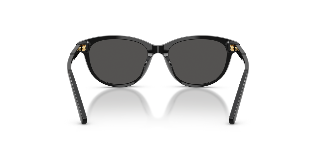 Sunglasses Dolce Gabbana DX4010 501/87 48 15
