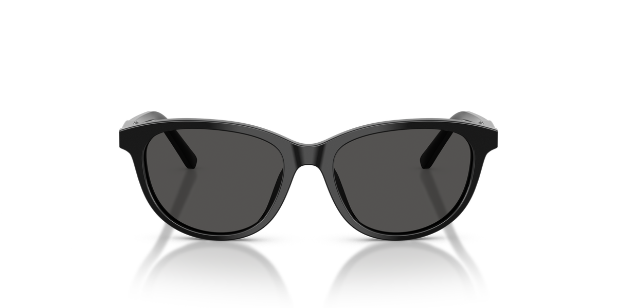 Sunglasses Dolce Gabbana DX4010 501/87 48 15