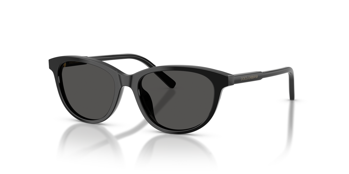 Sunglasses Dolce Gabbana DX4010 501/87 48 15