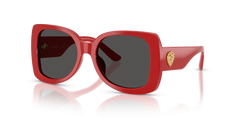 Sunglasses Dolce Gabbana DX4012 308887 50 17