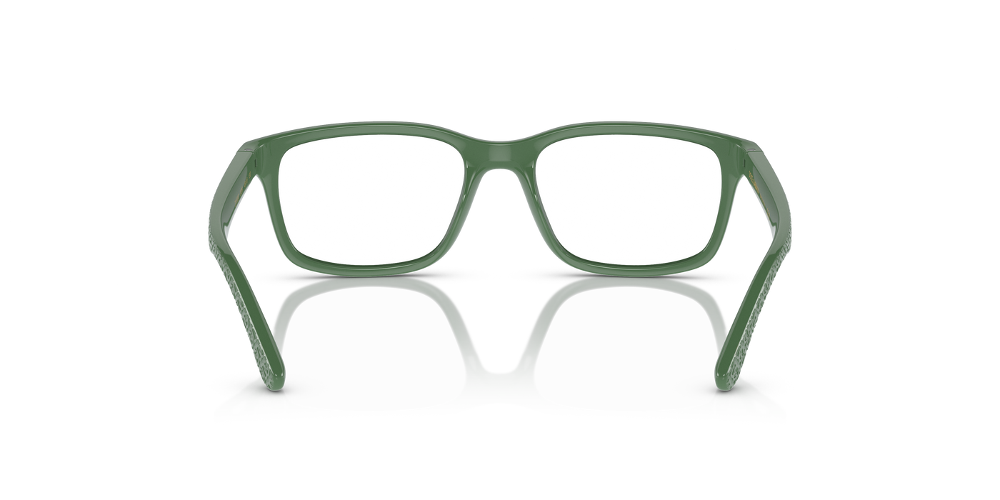 Gafas Graduadas Dolce Gabbana Dx5097 DX5097 3329 46 16