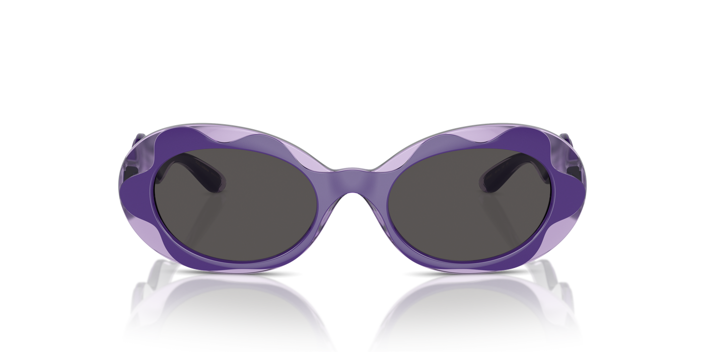 Gafas de Sol Dolce Gabbana Dx6005 DX6005 333587 49 19