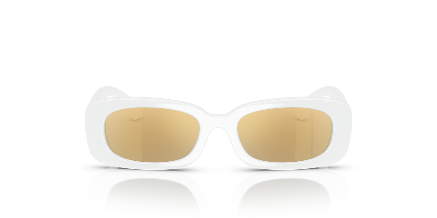 Sunglasses Dolce Gabbana Dx6006U DX6006U 33127P 46 16