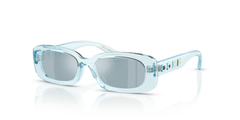 Sunglasses Dolce Gabbana Dx6006U DX6006U 33466J 46 16