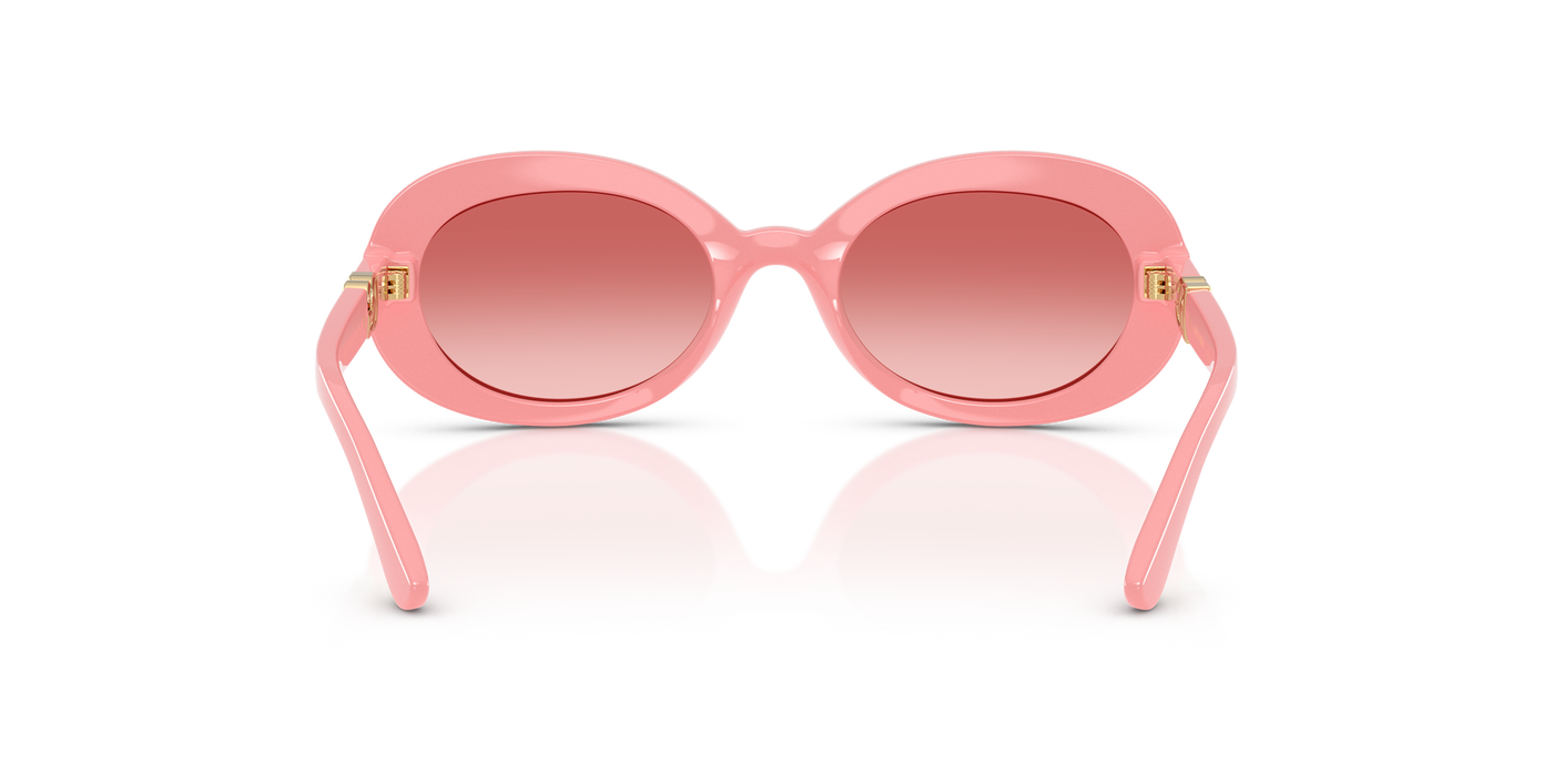Gafas de Sol Dolce Gabbana Dx6007U DX6007U 30982B 49 19