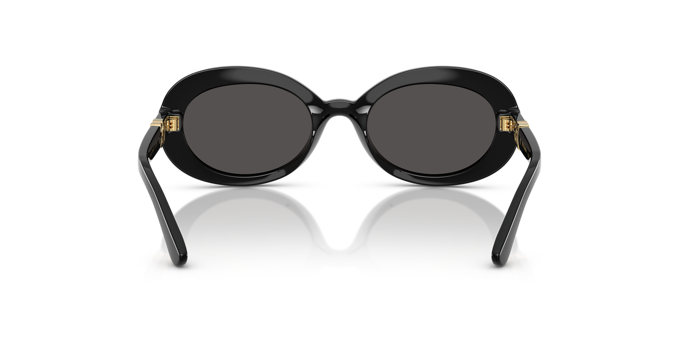 Sunglasses Dolce Gabbana Dx6007U DX6007U 501/87 49 19