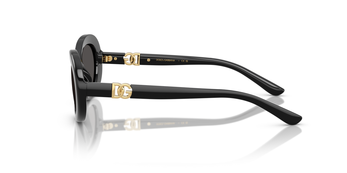 Sunglasses Dolce Gabbana Dx6007U DX6007U 501/87 49 19