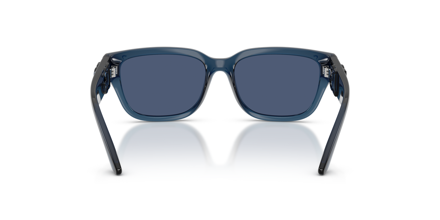 Sunglasses Dolce Gabbana Dx6009 DX6009 300980 50 15
