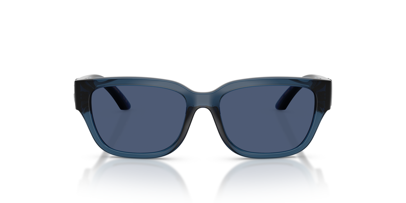 Sunglasses Dolce Gabbana Dx6009 DX6009 300980 50 15