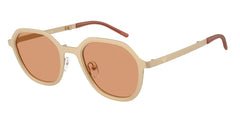 Gafas de Sol Emporio Armani EA2176 3002/7 51 23