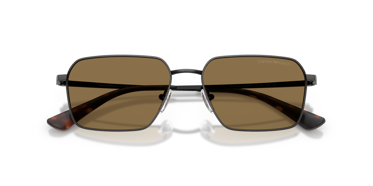 Gafas de Sol Emporio Armani EA2178 344573 54 16