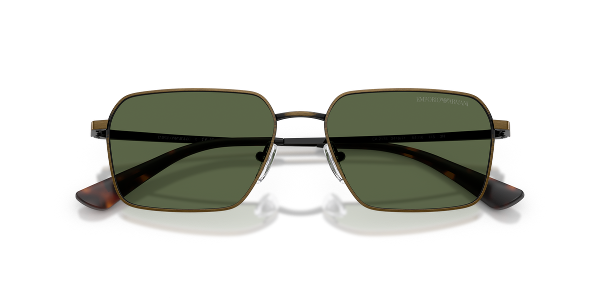 Gafas de Sol Emporio Armani EA2178 344671 54 16