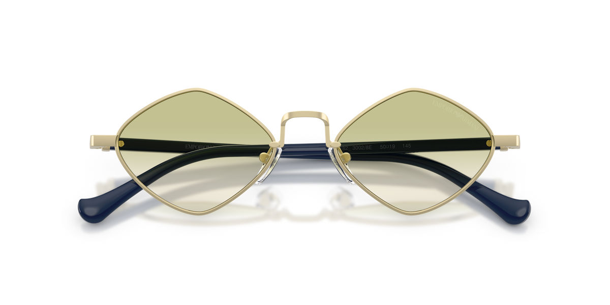 Gafas de Sol Emporio Armani EA2182 30028E 50 19