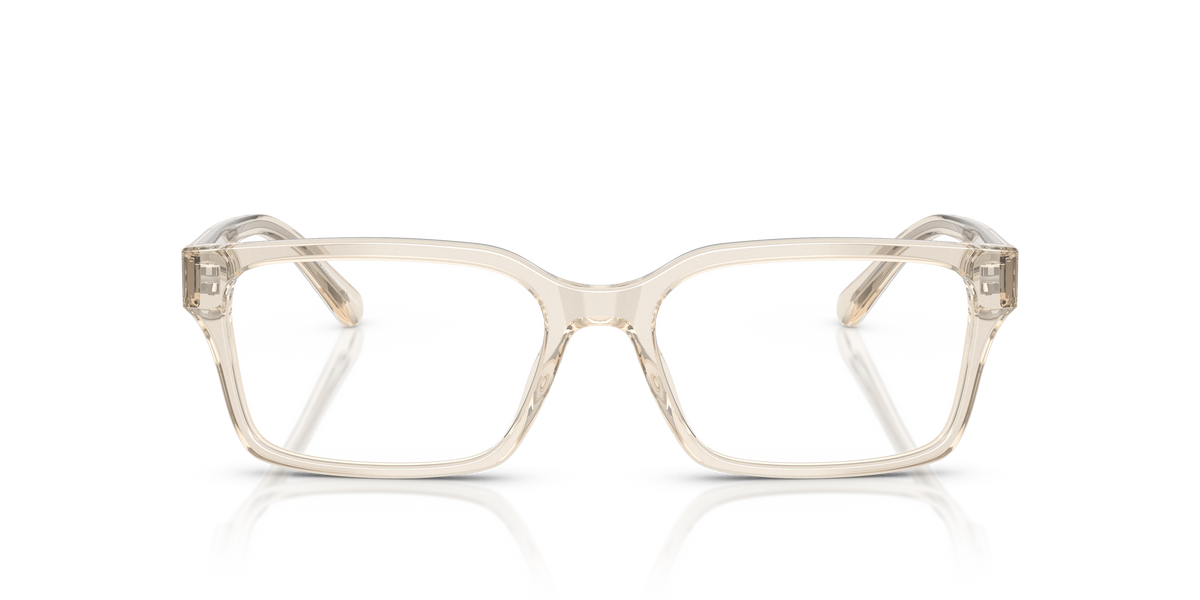 Gafas de Sol Emporio Armani EA3244 6179 53 17