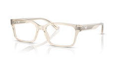 Gafas de Sol Emporio Armani EA3244 6179 53 17