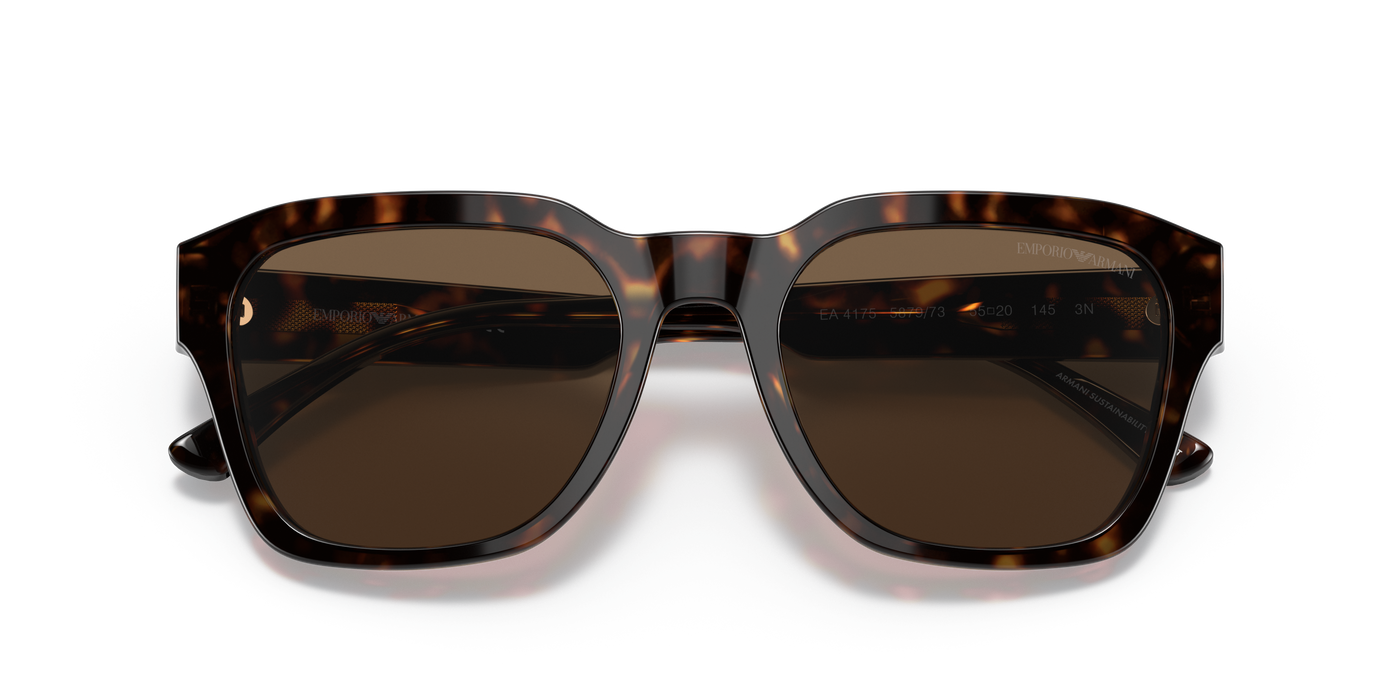 Sunglasses Emporio Armani Ea4175 EA4175 587973 55 20