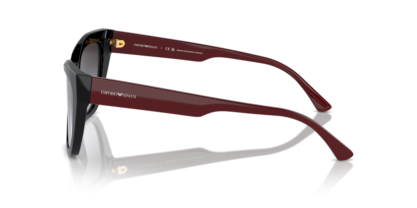 Gafas de Sol Emporio Armani EA4176 50178G