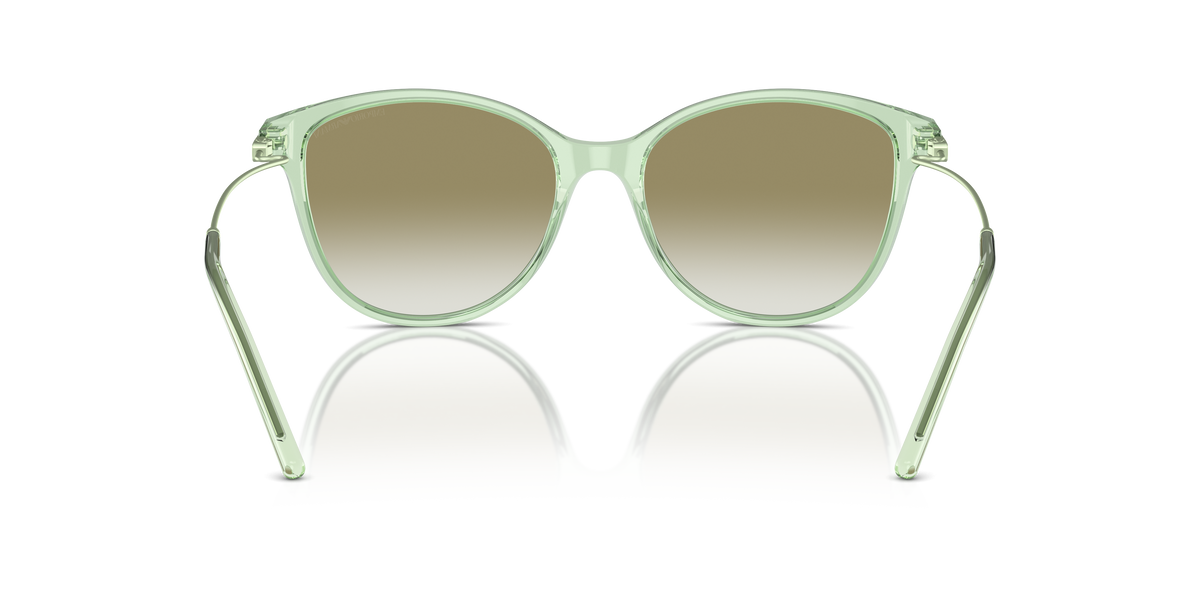 Gafas de Sol Emporio Armani EA4220 61078E 54 17