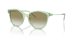 Gafas de Sol Emporio Armani EA4220 61078E 54 17