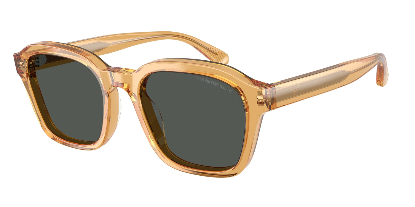 Gafas de Sol Emporio Armani EA4245U 624687 54 21