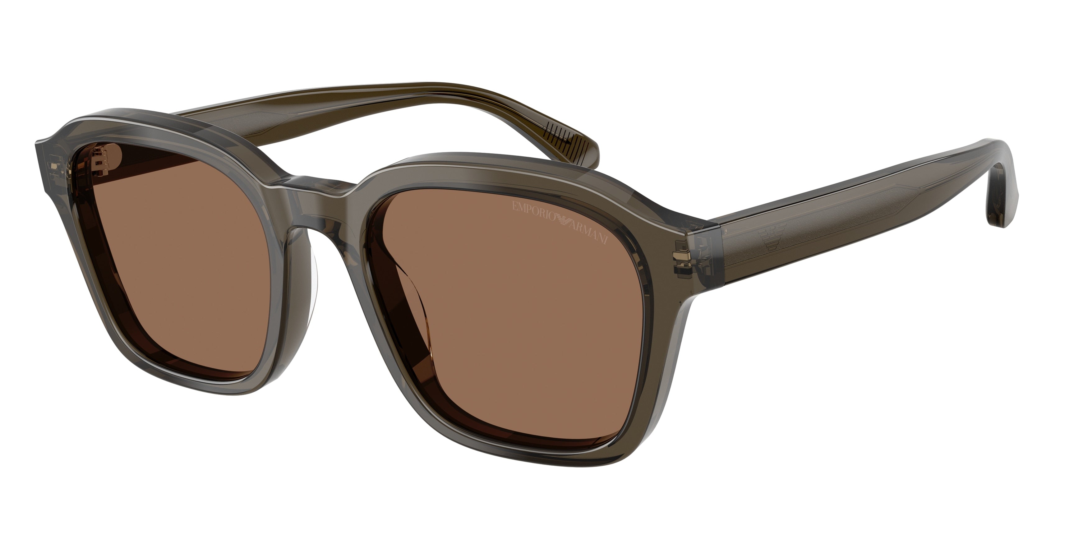 Gafas de Sol Emporio Armani EA4245U 624973 54 21