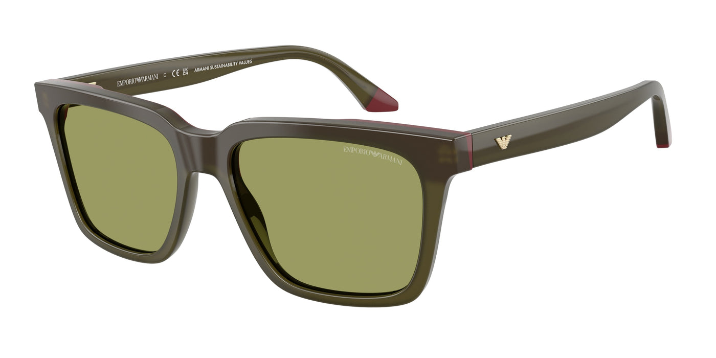 Gafas de Sol Emporio Armani EA4260 63162A 55 17
